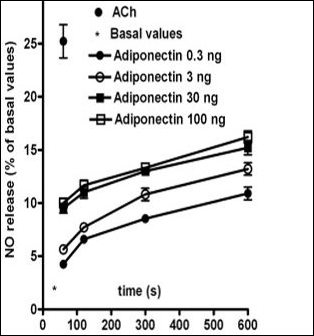 Grossini et al.jpg