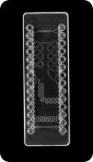 SWISSCI UVP Micro-channel chip