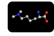 JBS Methylation Kit