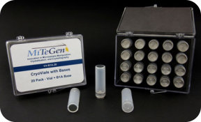 Mount-Base-Vial Assemblies