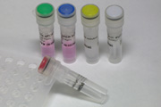 qPCR Core Kit