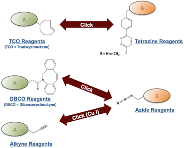 Click Reagents by Chemistry